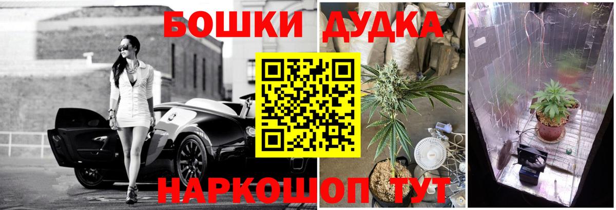 Шишки марихуана семена  Каннабис конопля  Вход с VPN  Апшеронск  Конопля OG Kush  Каннабис Amnesia 
